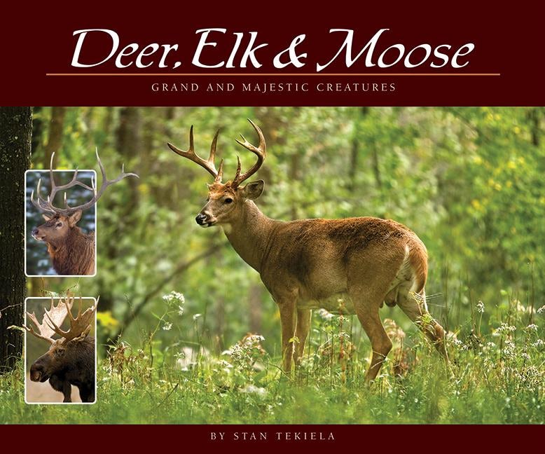 Book cover image for Deer, Elk & Moose ISBN: 9781591934592